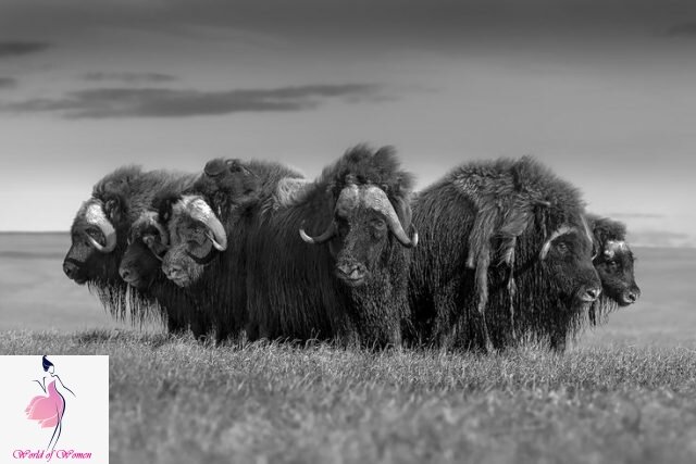 Фото с сайта https://worldofwomen.club/