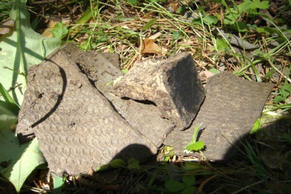 Шифер, оказывается очень опасен