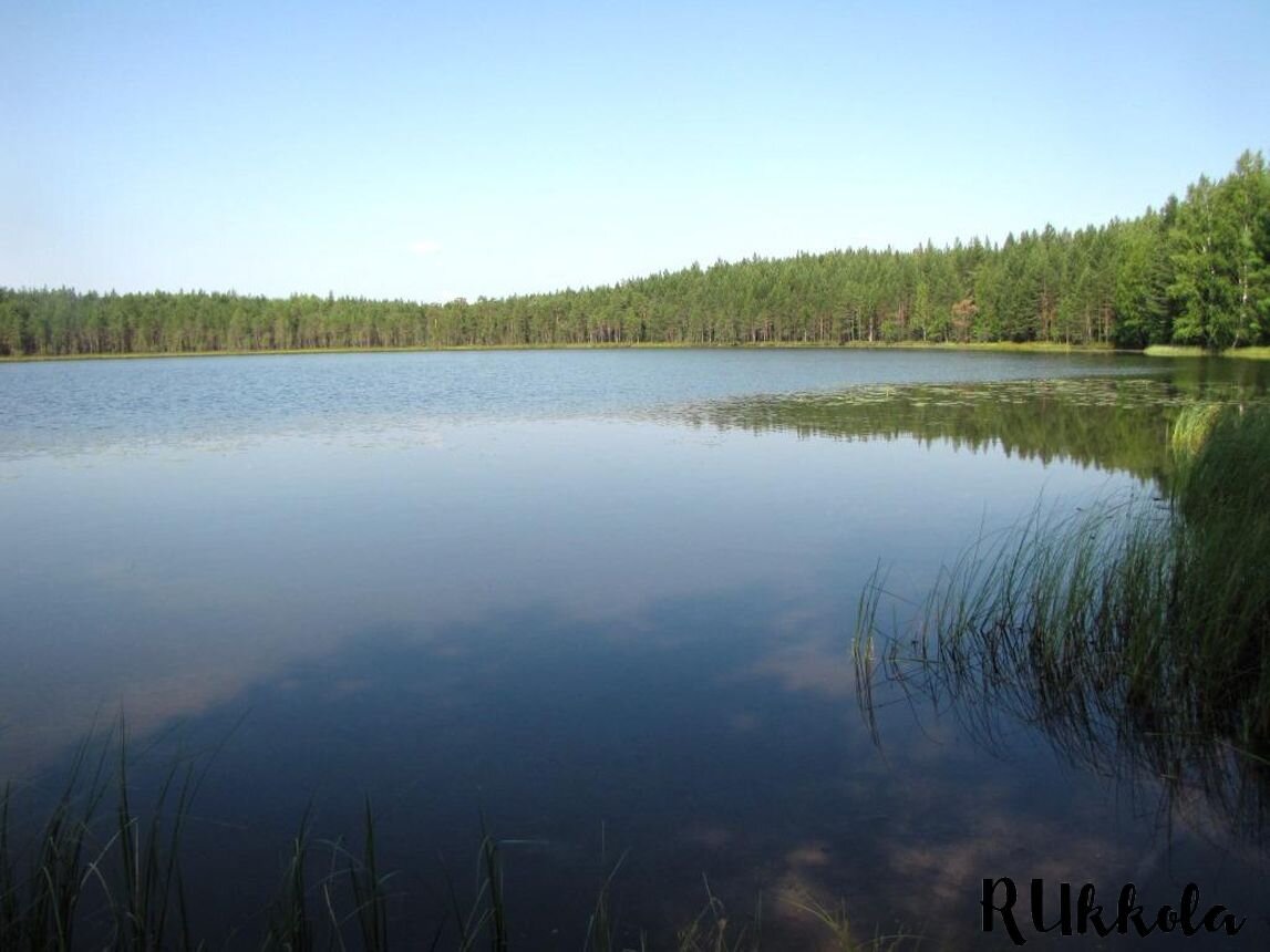 Вадское нижегородская область. Озеро Вад Нижегородской области. Озеро село Вад Нижегородская область. Вадский район с Вад озеро. Озеро Вад Сысольский район Коми.