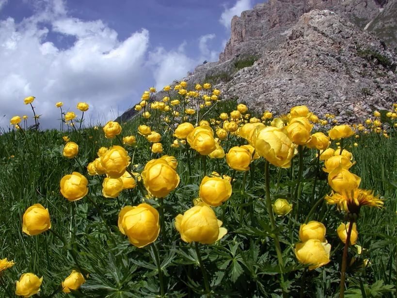 фото из интернета