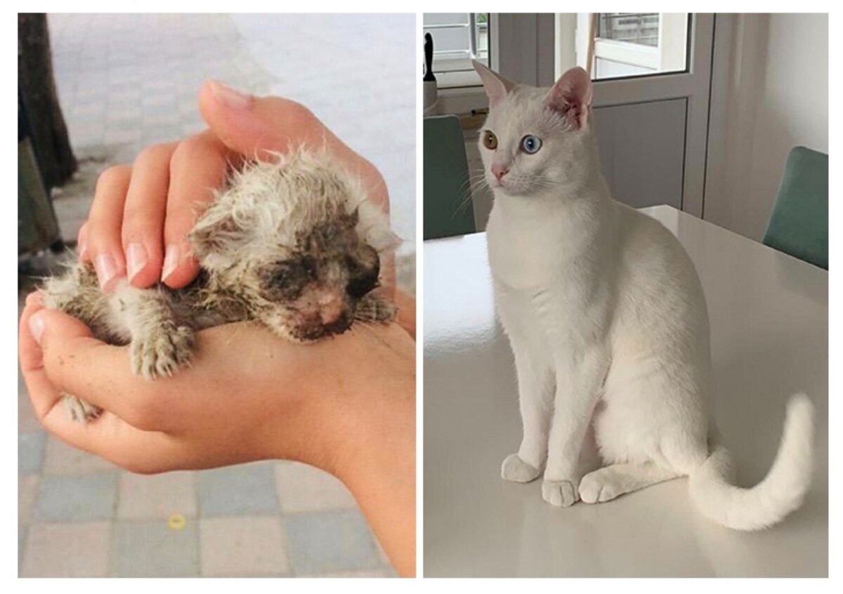 "Прошел всего 1 год"