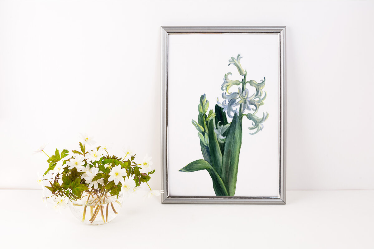 Рисунок в рамке выполнен автором публикации. Рисовала с натуры акварелью.