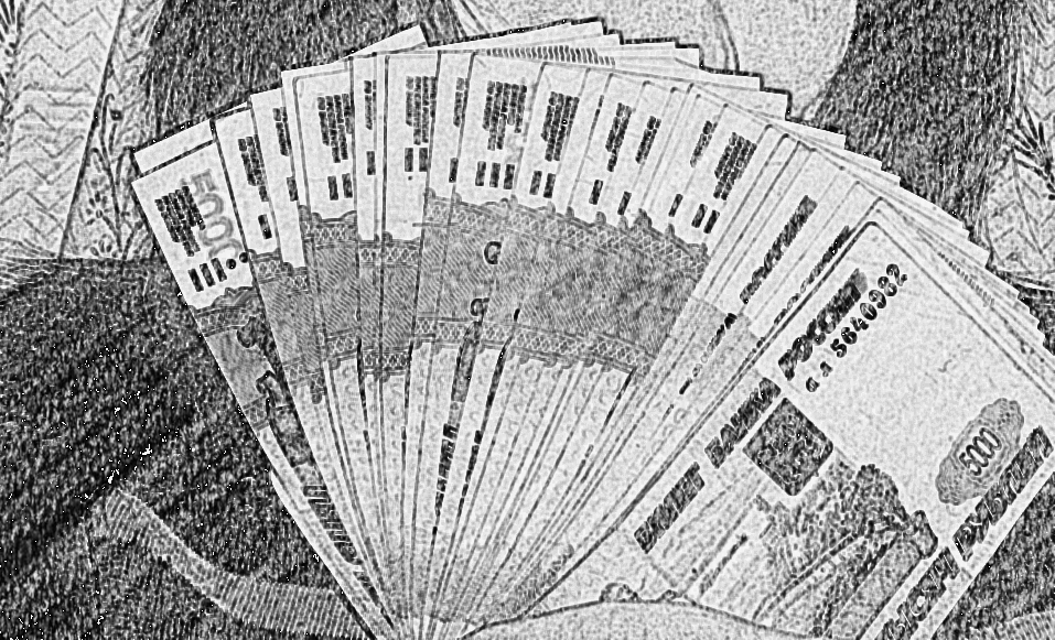 Деньги на первый взнос. Еще никогда в жизни я не держала столько денег в руках