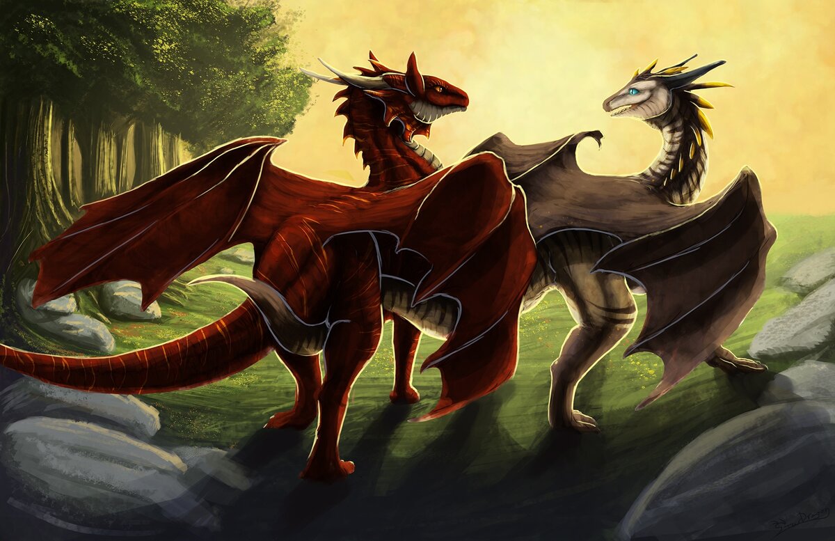 Фото для иллюстрации