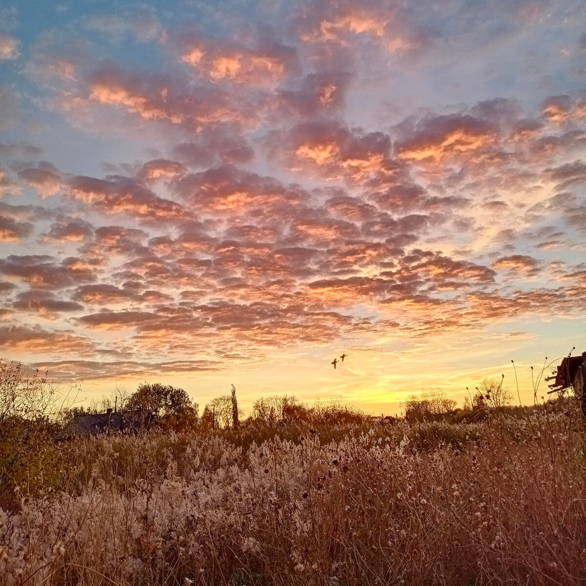 Любя и уважая себя, мы можем любить других людей и быть им поддержкой