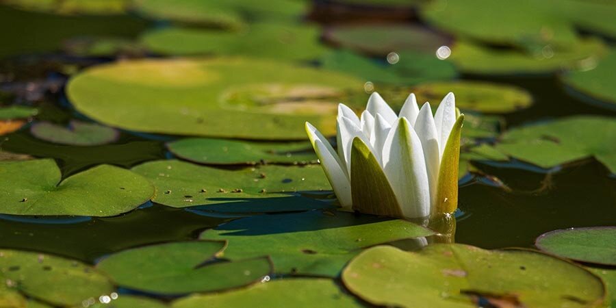 Как принять свое заболевание и жить дальше 