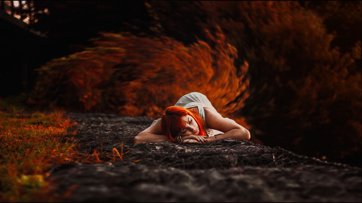 C сайта PIXABAY