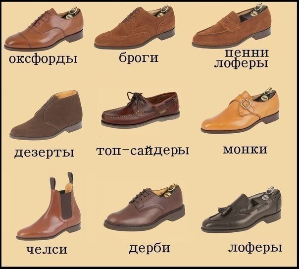 Виды мужских ботинок и туфель