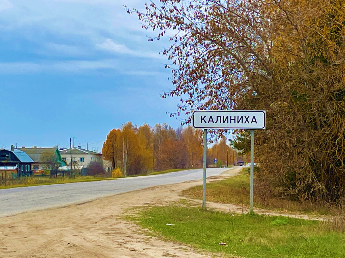 Нижегородский поселок Калиниха, впервые увидела именно здесь самые  оригинальные и необычные ворота у простого дома, показываю | Под зонтиком |  Дзен