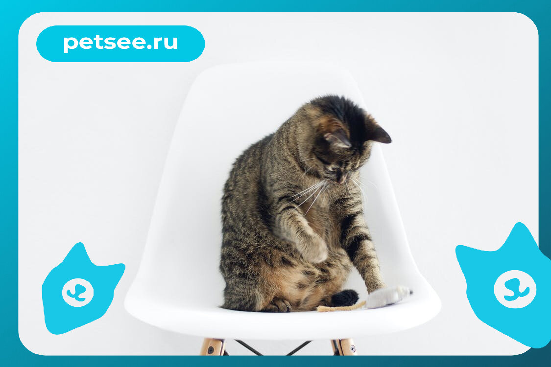 Источник: www.pexels.com