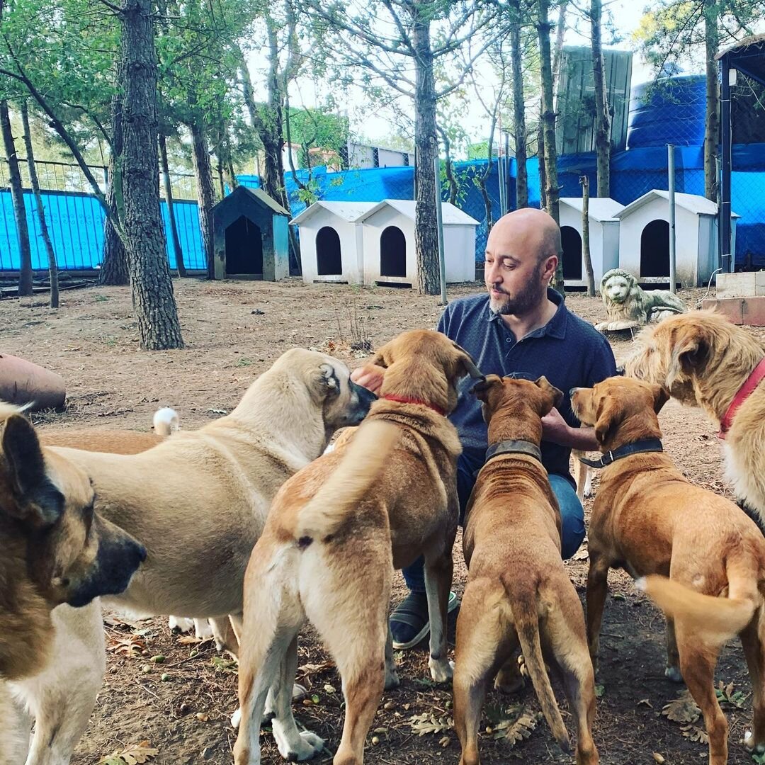 Фото: © instagram.com/mertakkoek