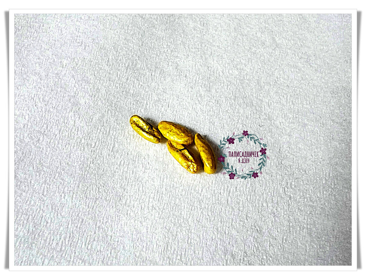 Золотые слитки? Не... Семена пеларгонии )) В моём пакете их было 4.