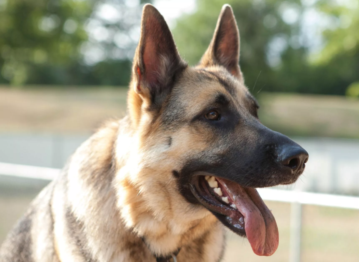 фото взято из открытых источников