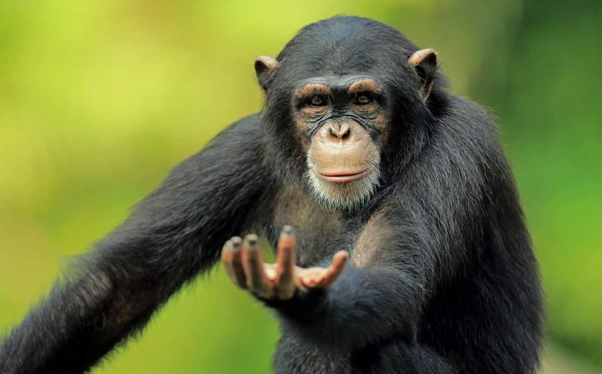 Источник изображения: сайт yandex.by/images