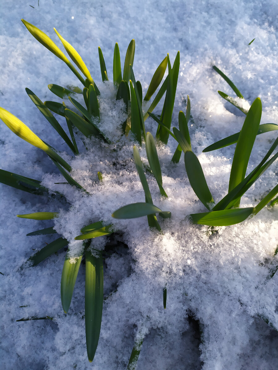 11 марта в Крыму