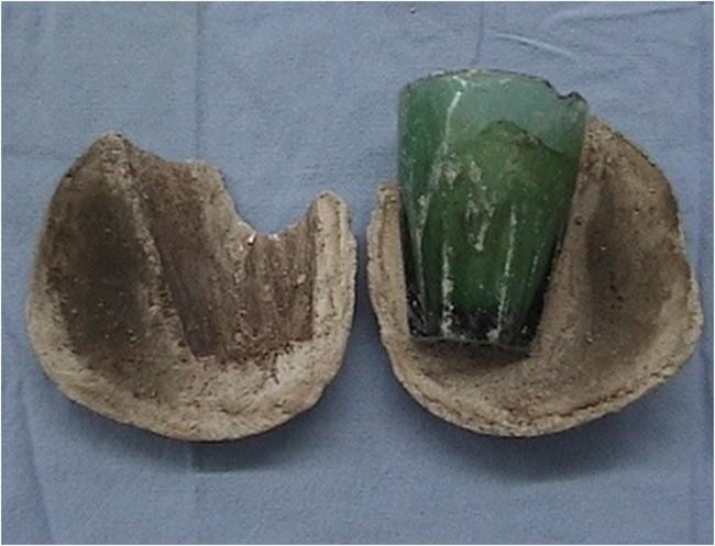 Источник: images.7news.com.au