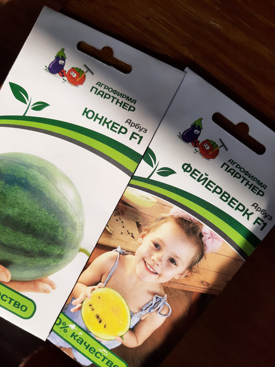 Мои арбузы. 