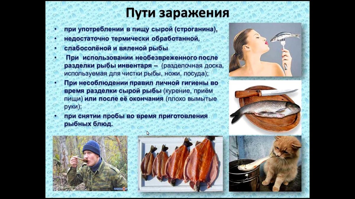 Фото из открытых источников "Яндекс картинки"