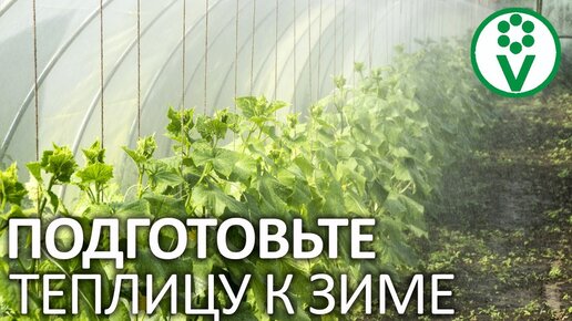 Сделайте это в теплице после сбора урожая! Все мероприятия в теплице осенью