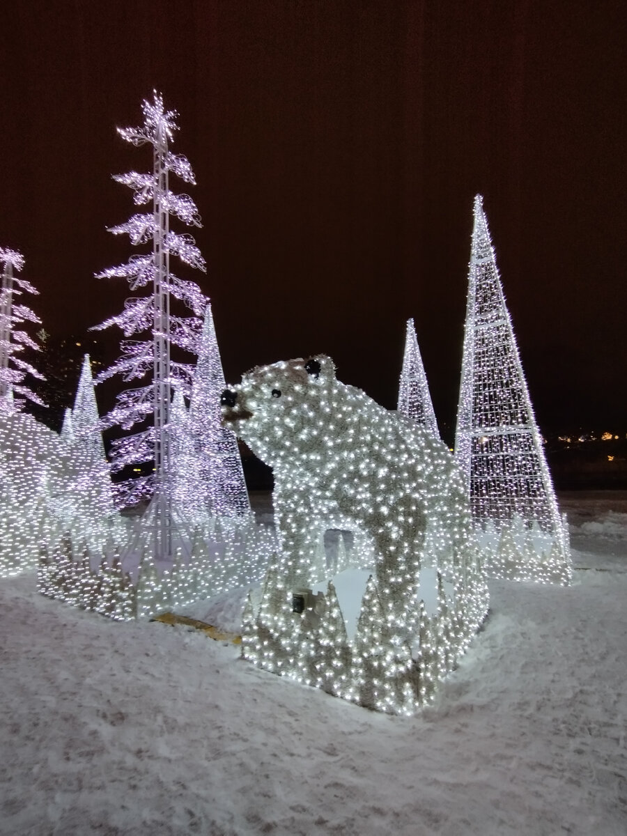 Маленькие медвежата (ФОТО АВТОРА)