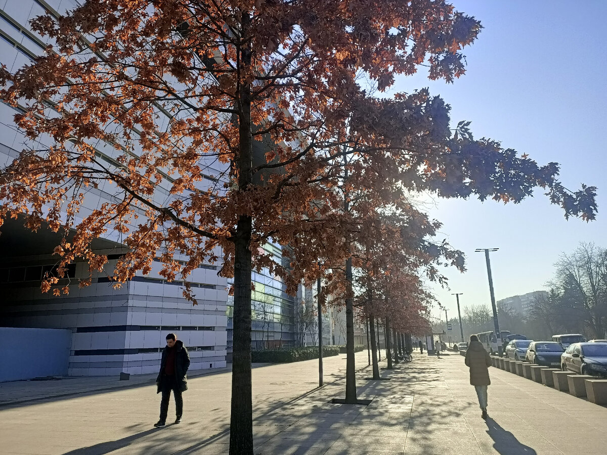 Декабрь в Краснодаре