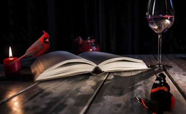 Автор изображения: Анна Классен