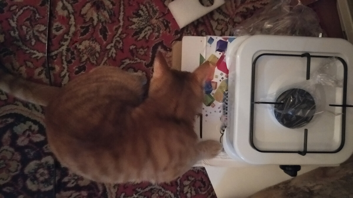 НЕ  РЕКЛАМА  ТОВАРА