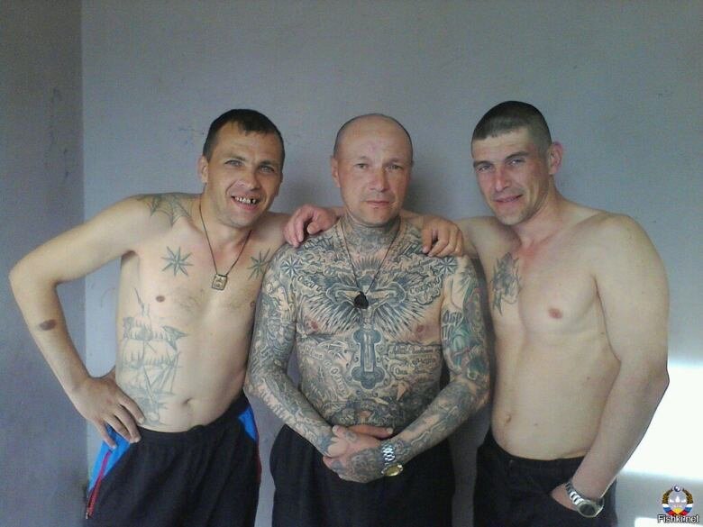 Изображение взято из открытых источников