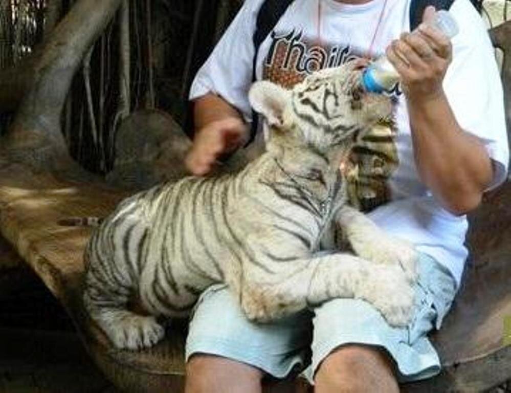 Фото из личного архива, предоставленное мне автором этого сюжета