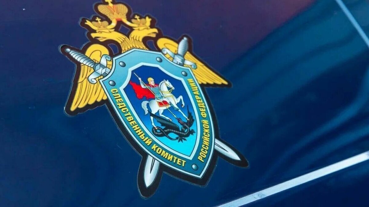     Мужчина получил в наследство две квартиры во Владивостоке — и организованная группа решила прибрать недвижимость к рукам. В результате они обманули потерпевшего и лишили его жизни — за дело взялся СК.