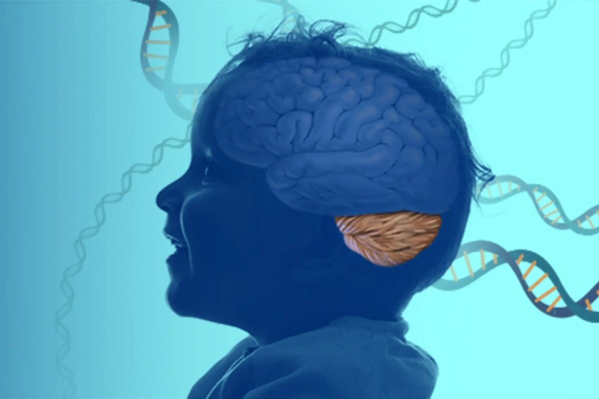     Уже у трех детей обнаружена опасная мутация, нарушающая развитие и работу мозга
