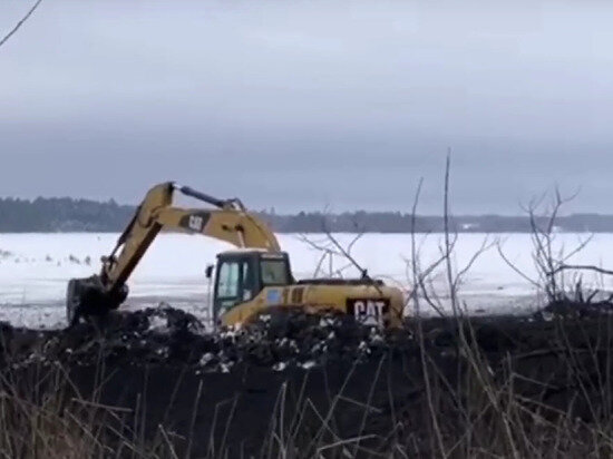     фото скрин с видео "Вести Ярославль"