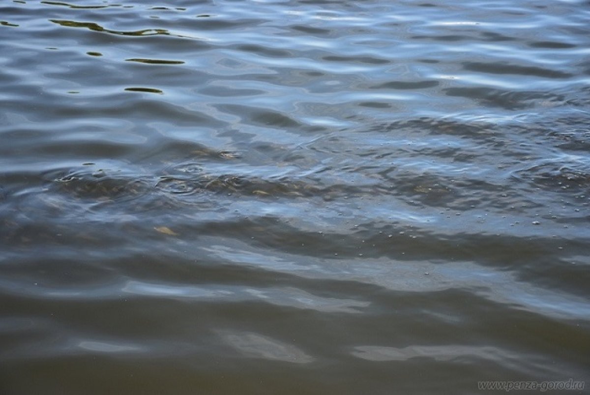    На Масленицу в Пензенской области затопило дороги