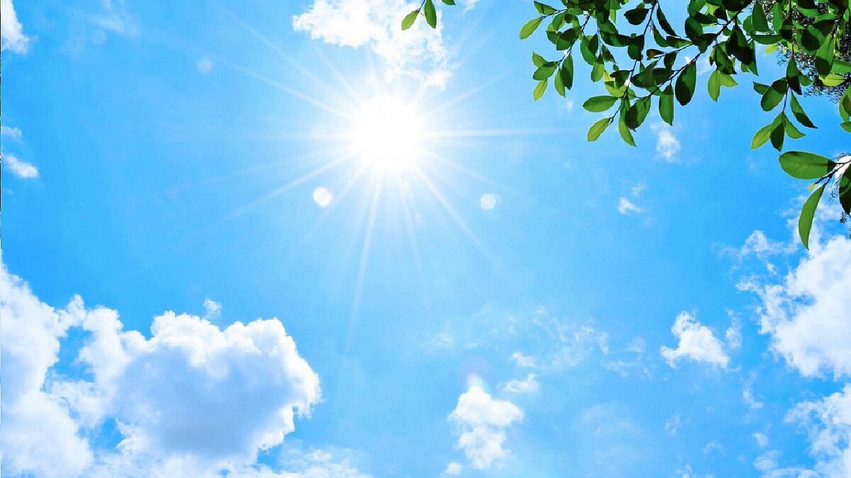 Картинка взята в интернете