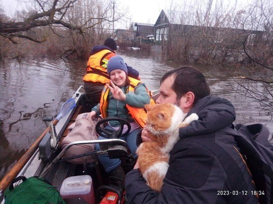     Фото: тг-канал Юрия Юрина