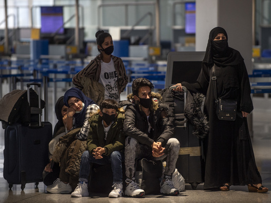 Взято из общего доступа.