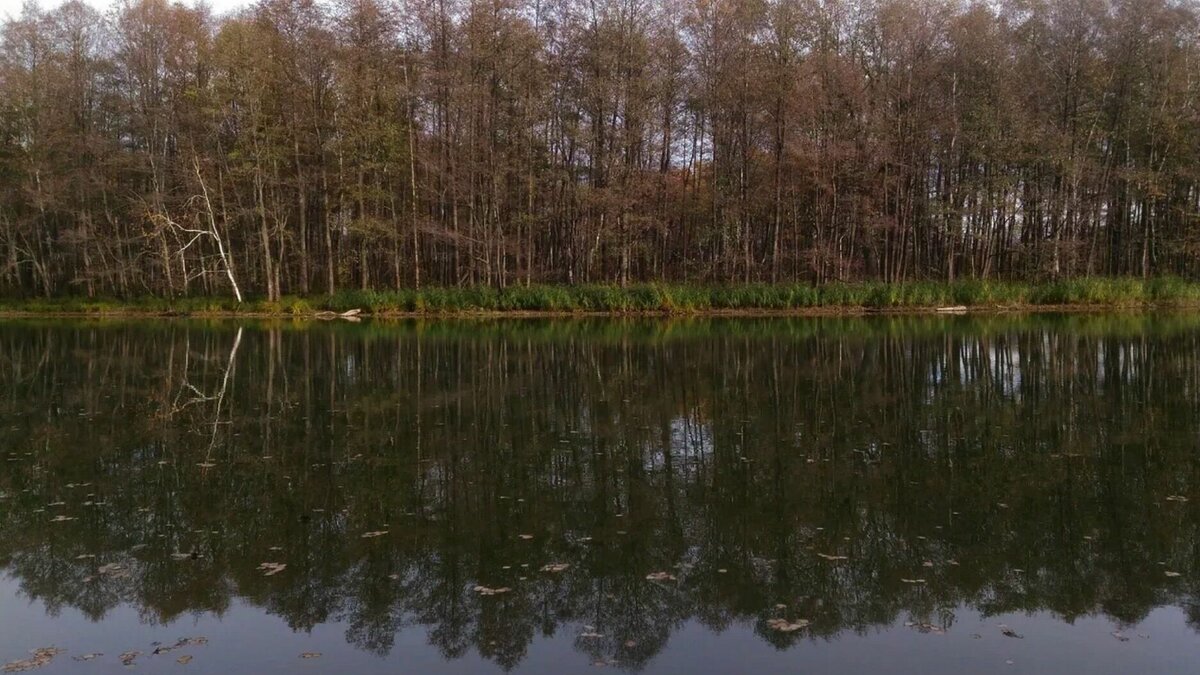     Кабинет министров Татарстана утвердил план мероприятий для охраны лесов и населенных пунктов от пожаров на 2023 год. Соответствующее распоряжение подписали 25 марта.