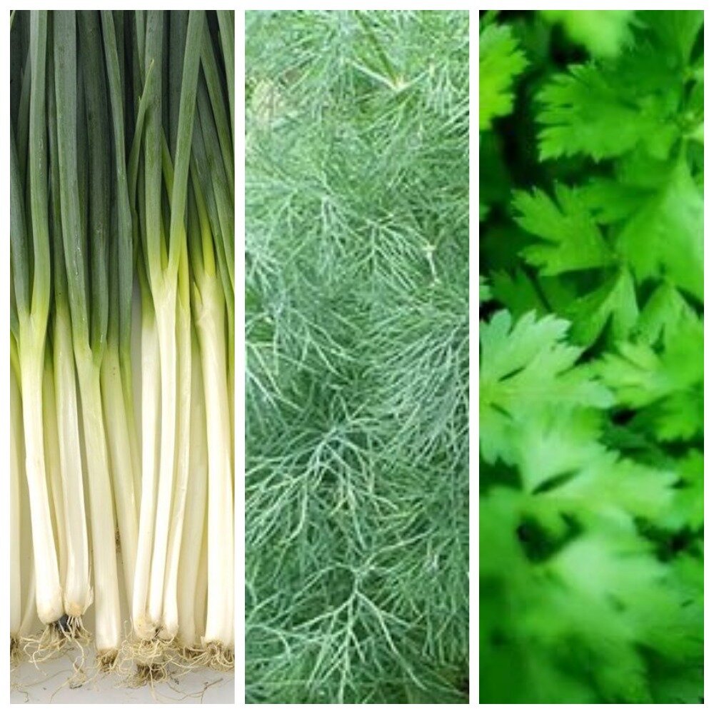 Фото из открытых источников Интернет