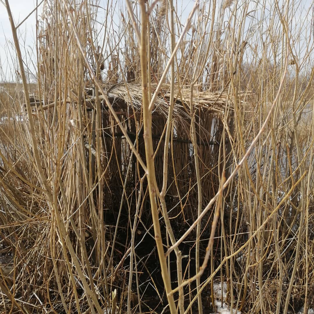 Скрадок стационарный(фото из личного архива) 