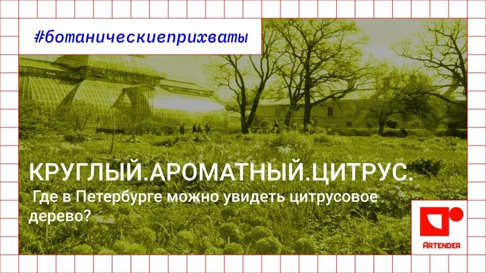 Ботанический сад Петра Великого