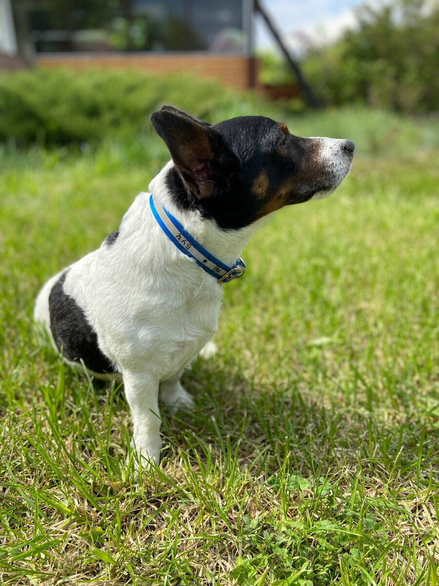 Запах свободы