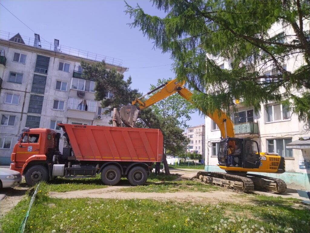    Фото: правительство Амурской области