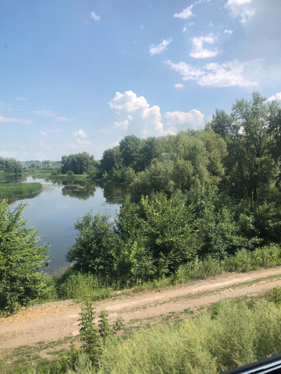 Едем в поезде, вокруг леса, речки-красота