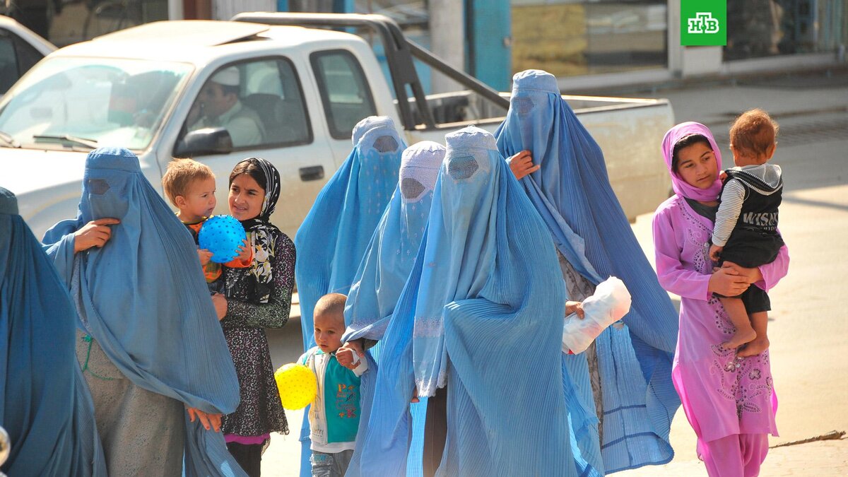    Фото: РИА Новости © 2023, В. Киселев