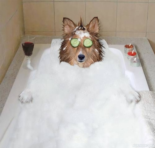 Фото из открытых источников 