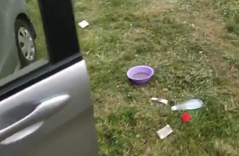 Губка, тазик воды, тряпка. Весь набор. Фото моё из архива.