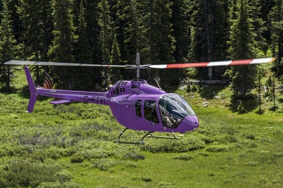 Вид в полёте .