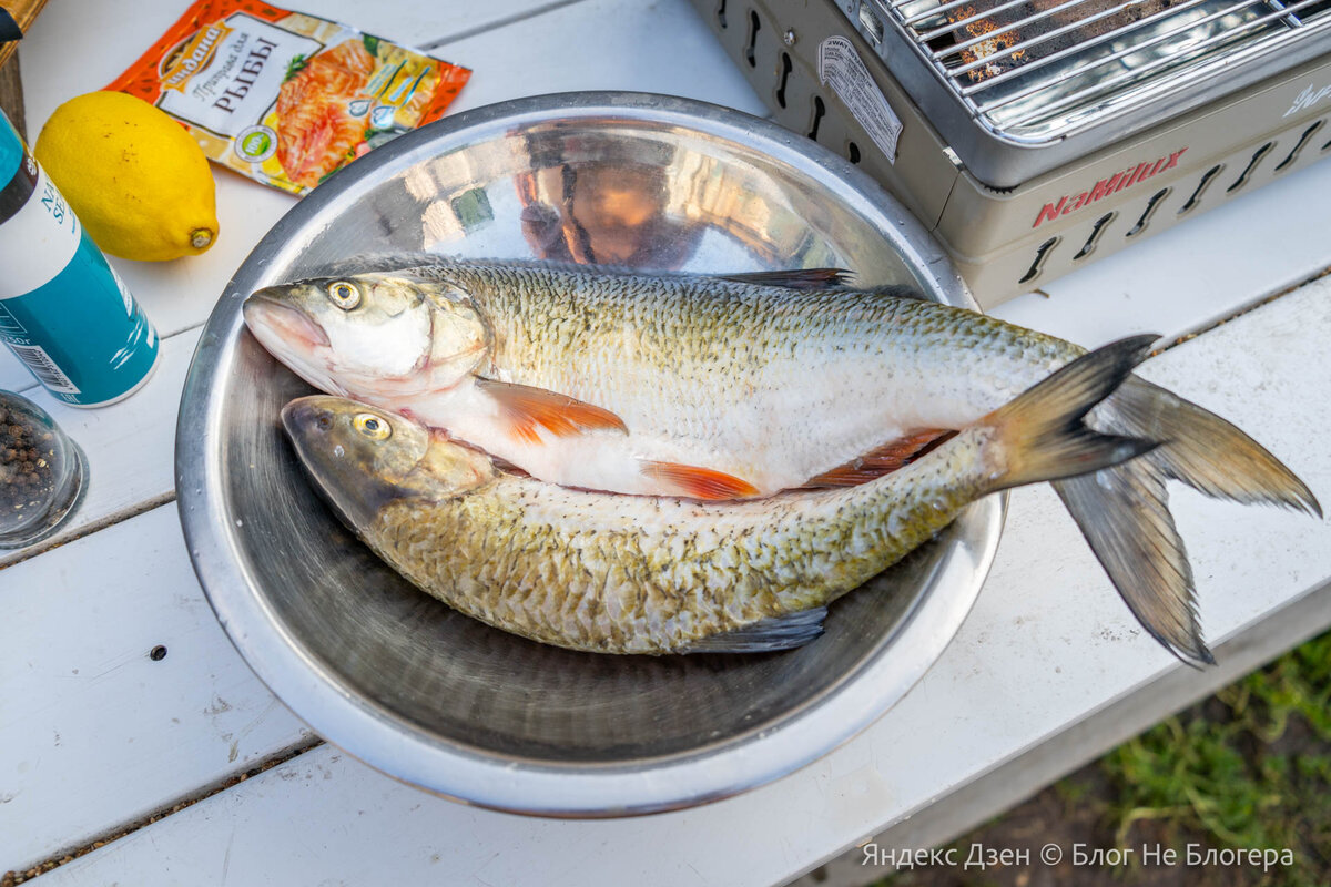 Добавьте описание