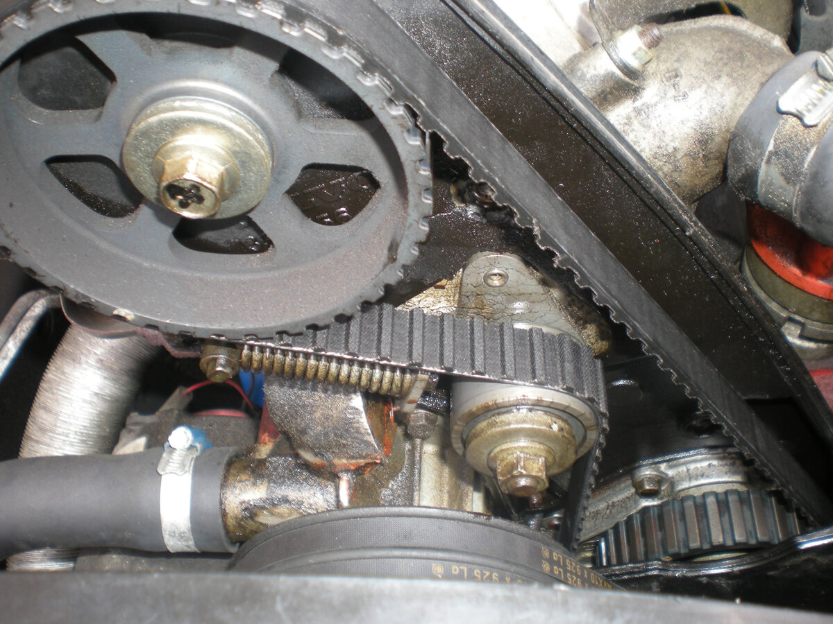 Фото из открытых источников