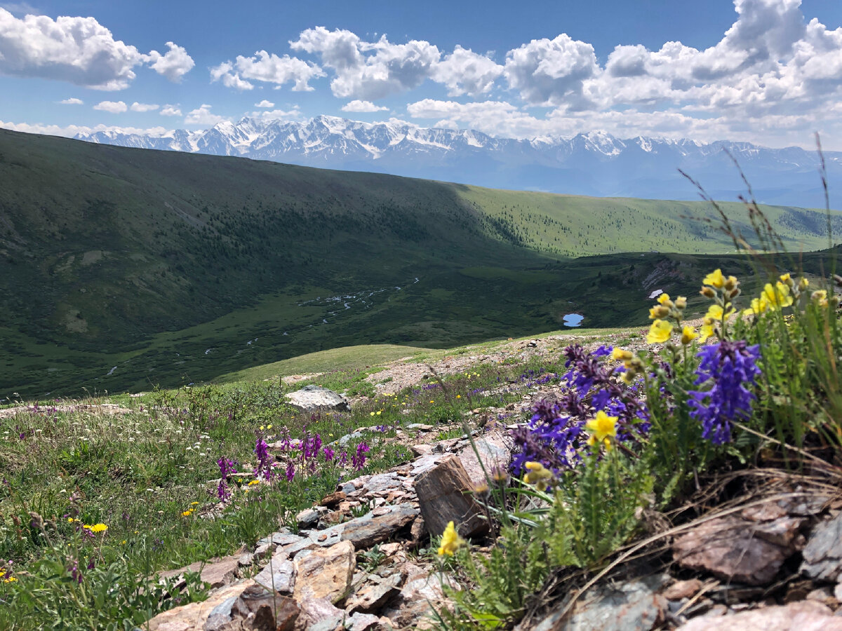 Северо-Чуйский хребет. Фото автора